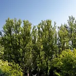 Dağ evi Masia Casa Rullo *