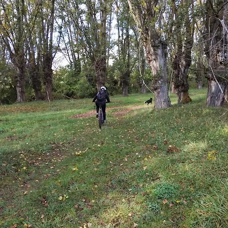 샬레 Masia Casa Rullo