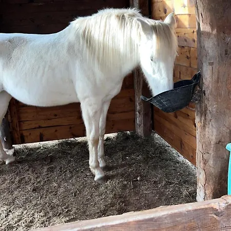 Masia Casa Rullo * 얼리푸즈