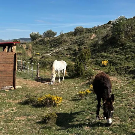 Masia Casa Rullo *
