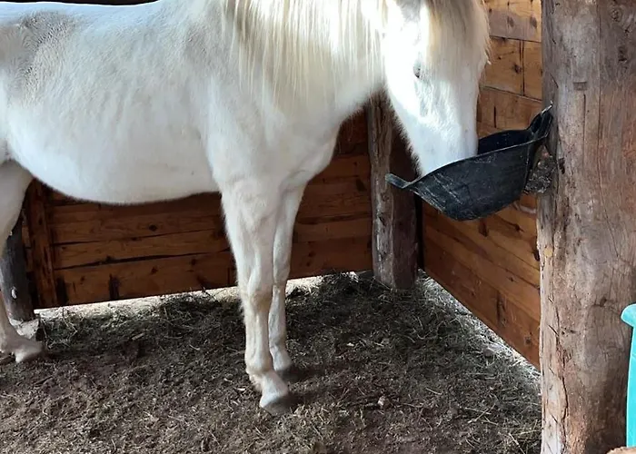 Masia Casa Rullo * Allepuz